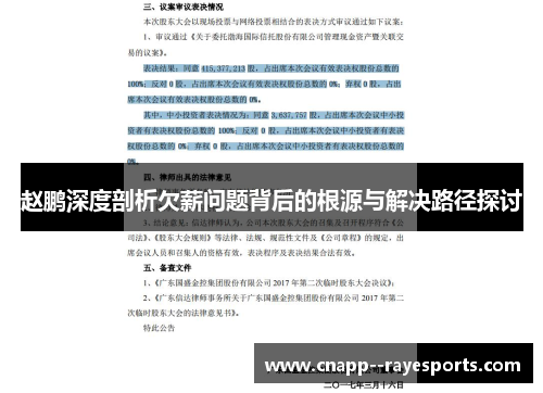 赵鹏深度剖析欠薪问题背后的根源与解决路径探讨