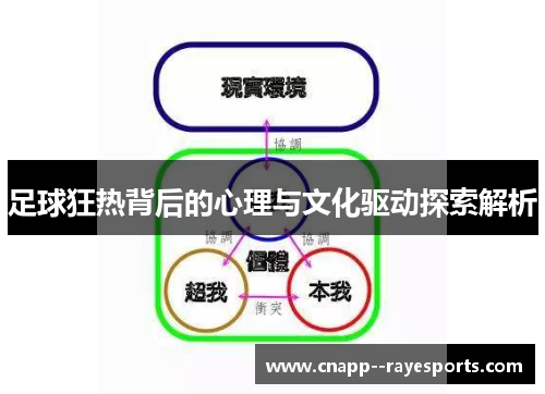 足球狂热背后的心理与文化驱动探索解析